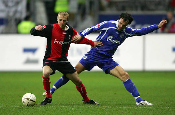 都起到了关 都起到了关